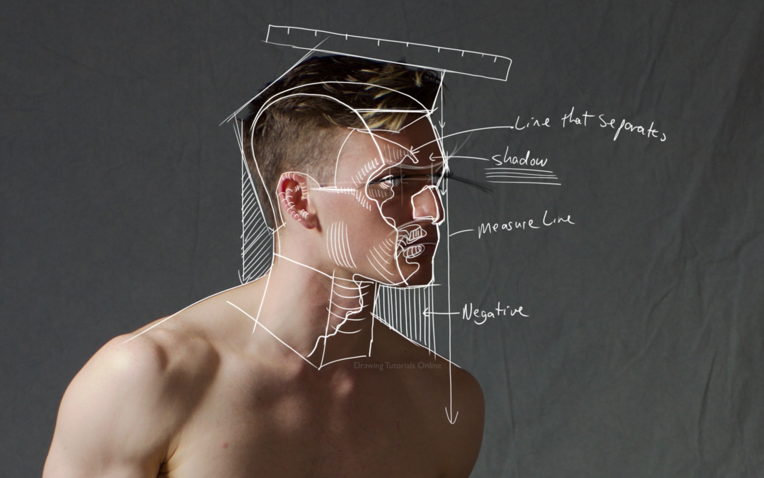 First Lines When Drawing A Portrait – Process