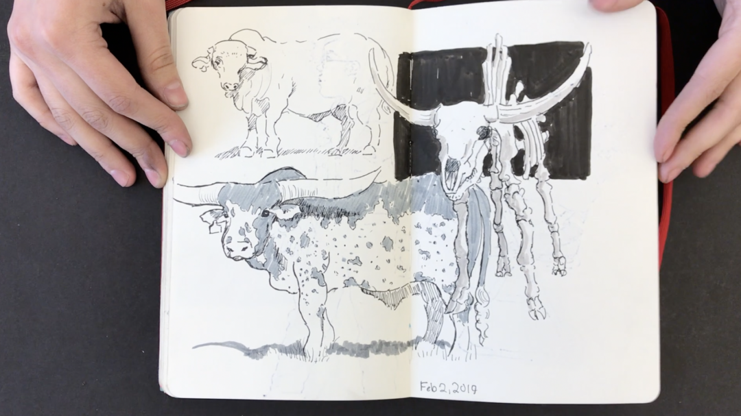 Kate’s Sketchbook Drawing Tutorials Online Blog