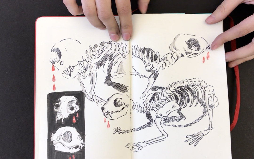 Kate’s Sketchbook