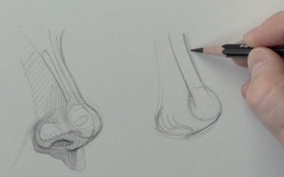How To Draw The Nose