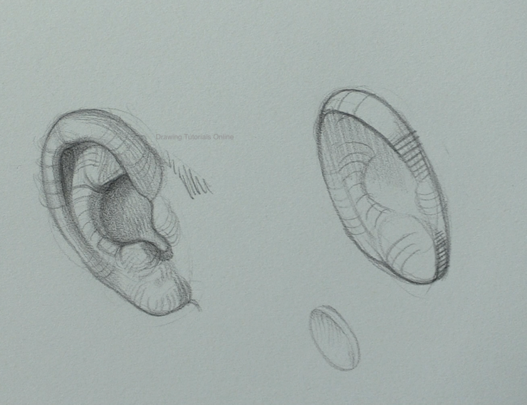 How To Draw The Ear | Drawing Tutorials Online Blog