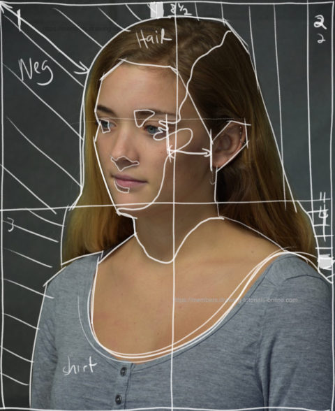 figure drawing using boxes