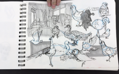 Merlin’s Sketchbook – Details